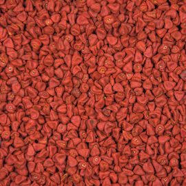 Achiote