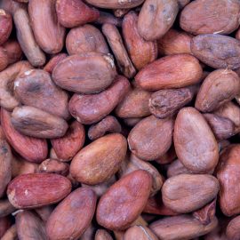 Cacao