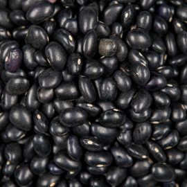 Frijol negro americano